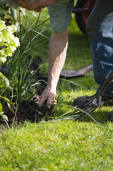 Gardening, Gardener