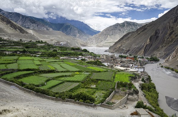 Nepal, Upper Mustang, Farming, Farmland field pattern near Kagbeni village. Photo : Sergey Orlov