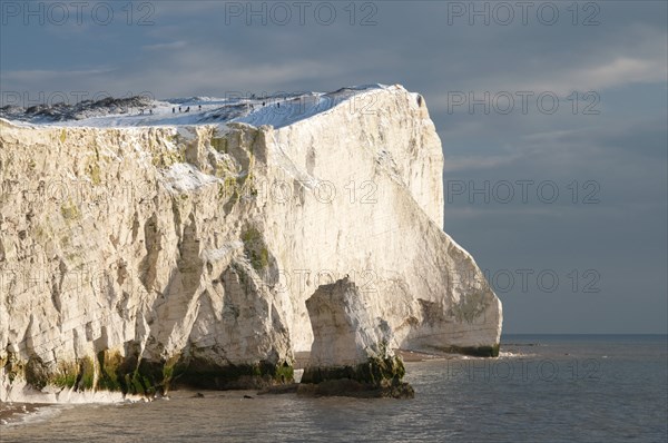 England, East Sussex, Seaford Head, Snow on cliffs with people toboganing. Photo : Bob Battersby