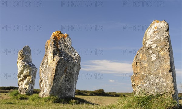 France, Brittany, Lagatjar, Alignment de Lagatjar standing stones near Cameret-sur-Mer. Photo : Bob Battersby