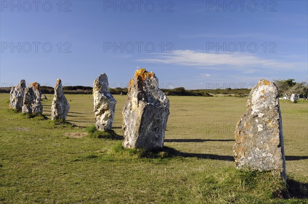 France, Brittany, Lagatjar, Alignment de Lagatjar standing stones near Cameret-sur-Mer. Photo : Bob Battersby