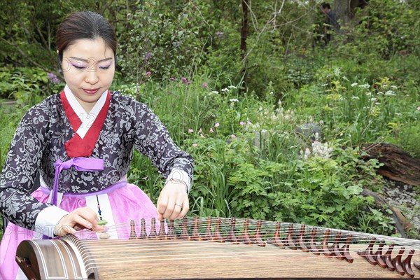 Music, Instrument, Koto, Japanese woman in traditional clothing playing Koto Harp. Photo : Sean Aidan