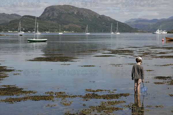 Scotland, Ross & Cromarty, Plockton, Young boy wading with fishing net in Loch Carron. Photo : Sean Aidan