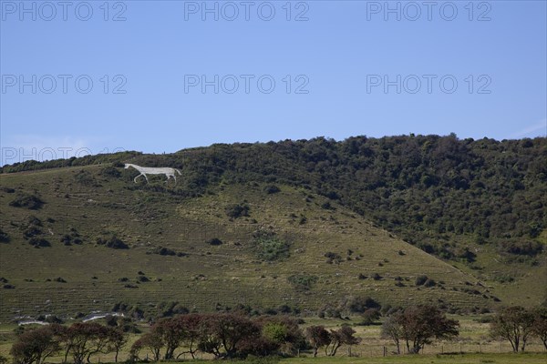 England, East Sussex, Litlington, The Cuckmere White Horse cut out of the chalk hills. Photo : Stephen Rafferty