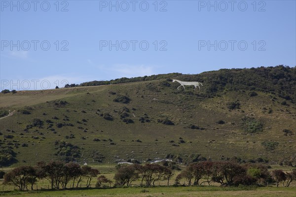 England, East Sussex, Litlington, The Cuckmere White Horse cut out of the chalk hills. Photo : Stephen Rafferty