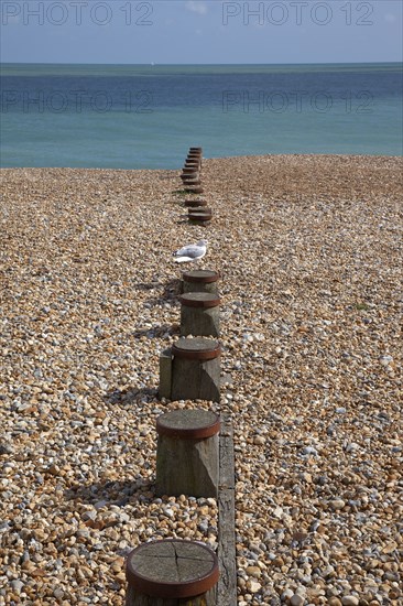 England, East Sussex, Eastbourne, View across shingle beach. Photo : Stephen Rafferty