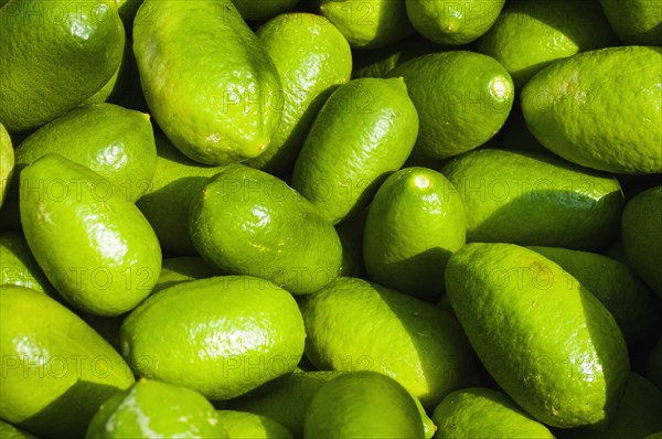 Food, Fruit, Lime, Fresh bright green citrus limes. . 
Photo Nic I Anson / Eye Ubiquitous
