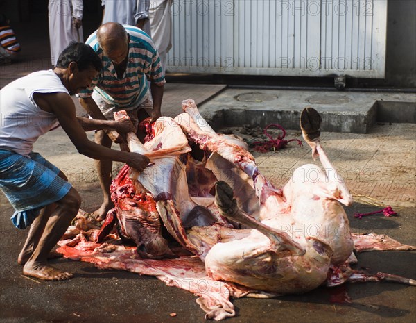 Bangladesh, Dhaka, Gulshan Animals slaughtered in the street for the Muslim Eid-ul-Azha festival. 
Photo Nic I Anson / Eye Ubiquitous