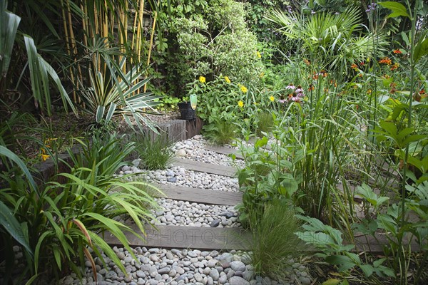 Plants, Garden, Urban garden with pebble path and railway sleepers. 
Photo Zhale Naoka Gibbs / Eye Ubiquitous