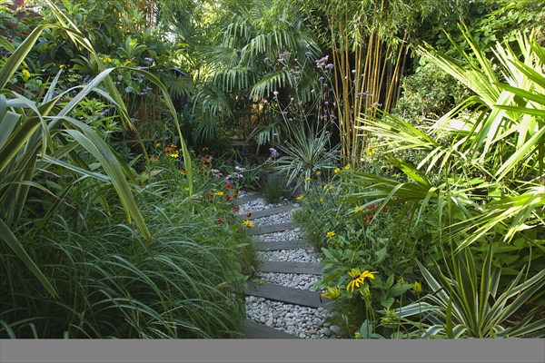 Plants, Garden, Urban garden with pebble path and railway sleepers. 
Photo Zhale Naoka Gibbs / Eye Ubiquitous