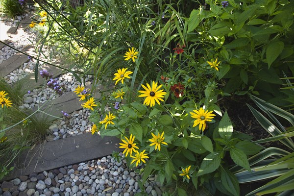 Plants, Garden, Urban garden with pebble path and railway sleepers. 
Photo Zhale Naoka Gibbs / Eye Ubiquitous