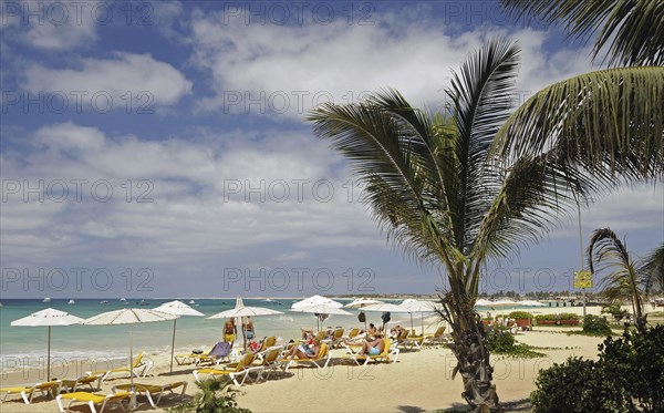 Santa Maria Beach Island of Sal Cape Verde