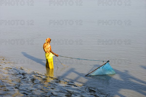 Bangladesh, Khulna Division, Shyamnagar, Woman trawling for shrimp fry with scoop net in the Sundarbans mangrove forest, UNESCO World Heritage Site. 
Photo Nic I'Anson