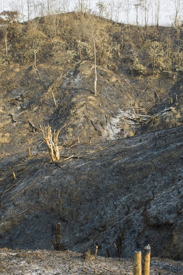 Bangladesh, Chittagong Division, Bandarban, Hillsides burned in the traditional slash and burn style of juma agriculture. 
Photo Nic I'Anson