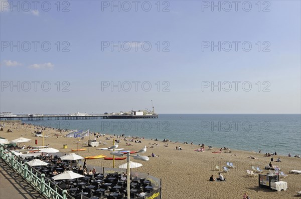 View of Seagulls with Brighton beach and Pier Brighton East Sussex England