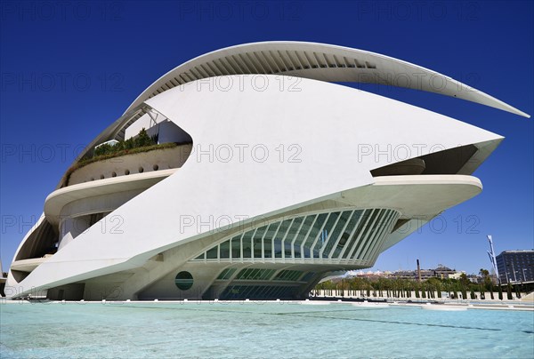 Spain, Valencia Province, Valencia, La Ciudad de las Artes y las Ciencias  City of Arts and Sciences  Palau de les Arts Reina Sofa  Opera house and cultural centre.
