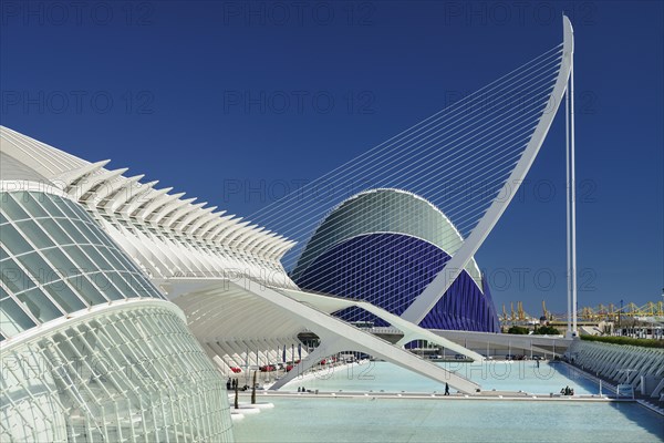 Spain, Valencia Province, Valencia, La Ciudad de las Artes y las Ciencias  City of Arts and Sciences  LHemisferic  Principe Felipe Science Museum  El Pont de lAssut de lOrBridge and Agora.