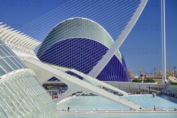 Spain, Valencia Province, Valencia, Spain, Valencia Province, Valencia, La Ciudad de las Artes y las Ciencias, City of Arts and Sciences, L'Hemisferic, Principe Felipe Science Museum, El Pont de l'Assut de l'Or Bridge and Agora. . 
Photo Hugh Rooney