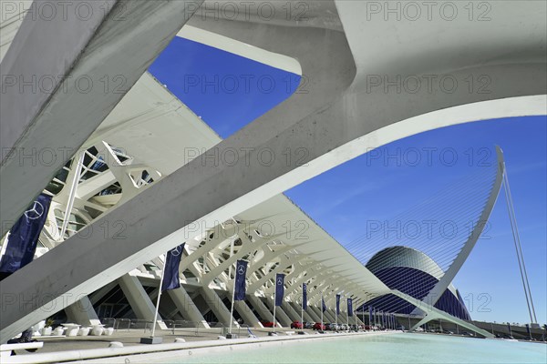 Spain, Valencia Province, Valencia, Spain, Valencia Province, Valencia, La Ciudad de las Artes y las Ciencias, City of Arts and Sciences, Principe Felipe Science Museum, El Pont de l'Assut de l'Or Bridge and Agora. 
Photo Hugh Rooney