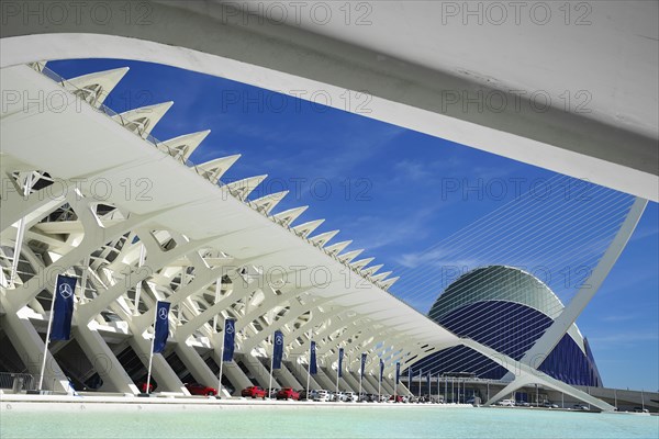 Spain, Valencia Province, Valencia, Spain, Valencia Province, Valencia, La Ciudad de las Artes y las Ciencias, City of Arts and Sciences, Principe Felipe Science Museum, El Pont de l'Assut de l'Or Bridge and Agora. 
Photo Hugh Rooney