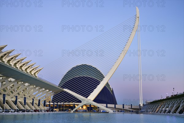 Spain, Valencia Province, Valencia, La Ciudad de las Artes y las Ciencias  City of Arts and Sciences  Principe Felipe Science Museum  El Pont de lAssut de lOr Bridge and Agora.