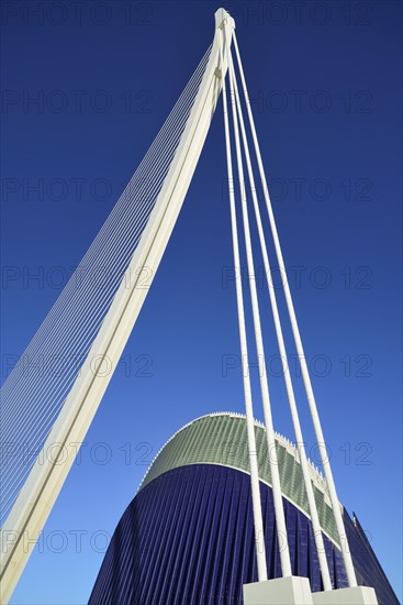 Spain, Valencia Province, Valencia, Spain, Valencia Province, Valencia, La Ciudad de las Artes y las Ciencias, City of Arts and Sciences, El Pont de l'Assut de l'Orr Bridge and Agora. 
Photo Hugh Rooney