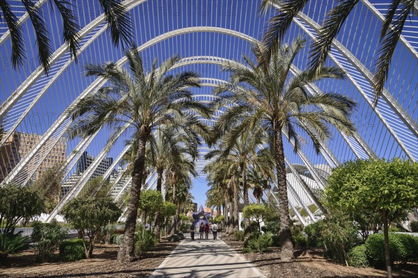 Spain, Valencia Province, Valencia, Spain, Valencia Province, Valencia, La Ciudad de las Artes y las Ciencias, City of Arts and Sciences, Interior of the Umbracle sculpture garden. 
Photo Hugh Rooney