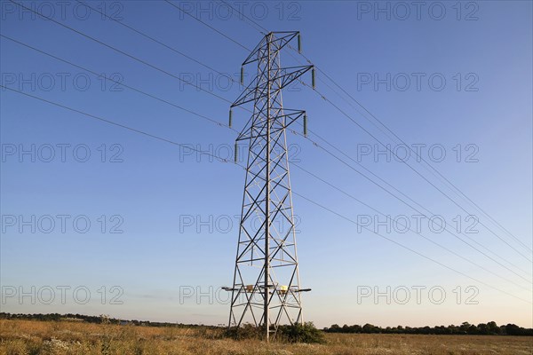 Environment, Power, Electricity, Pylons in the Hampshire countryside, England. 
Photo Bennett Dean