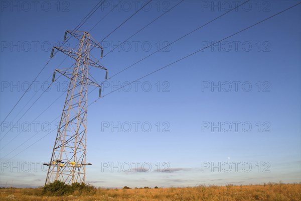 Environment, Power, Electricity, Pylons in the Hampshire countryside, England. 
Photo Bennett Dean