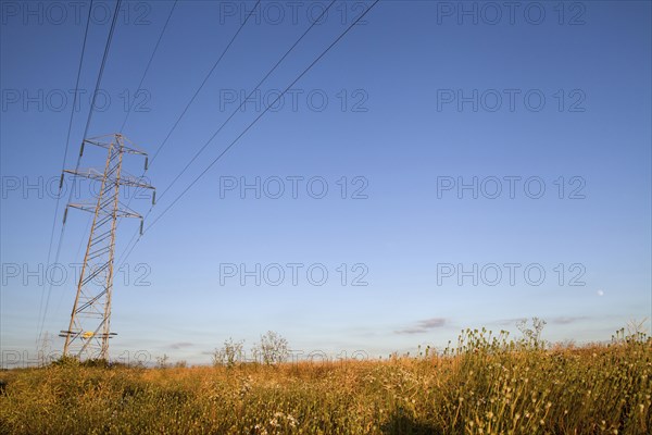 Environment, Power, Electricity, Pylons in the Hampshire countryside, England. 
Photo Bennett Dean