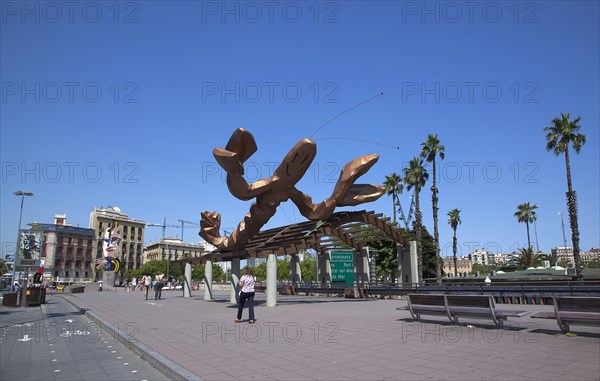 Spain, Catalonia, Barcelona, El Barri Gotic  La Gamba Sculpture next to Port Vell.