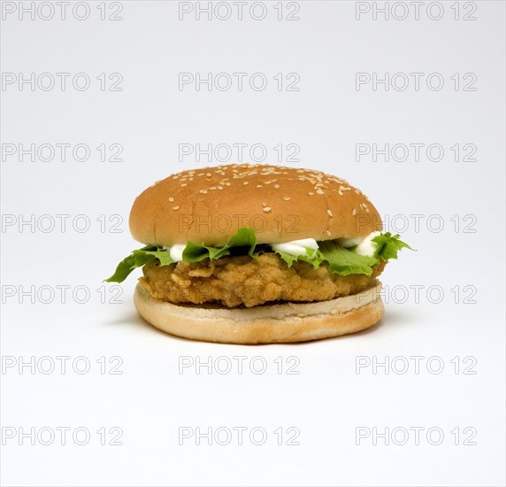 Food, Cooked, Poultry; Chicken breast fillet burger with lettuce and mayonaise in a bun on a white background.