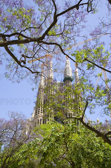 Spain, Catalonia, Barcelona, Sagrada Familia.