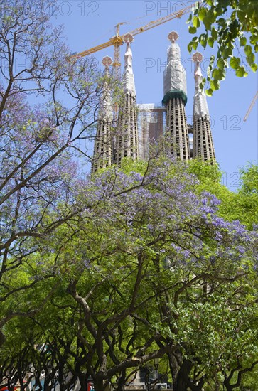 Spain, Catalonia, Barcelona, Sagrada Familia.