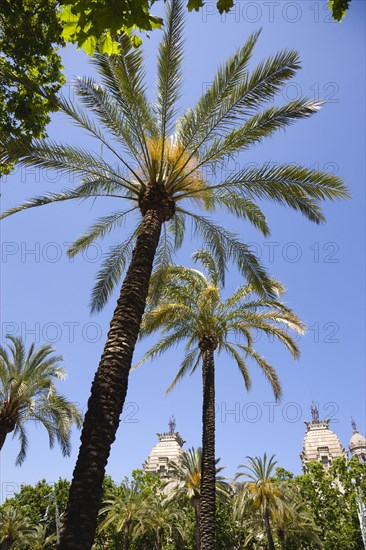 Spain, Catalonia, Barcelona, Parc de la Ciutadelala.