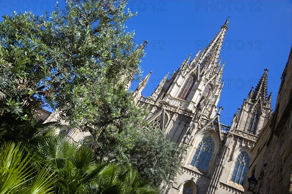 Spain, Catalonia, Barcelona, Cathedral.