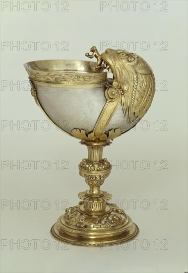 Nautilus cup