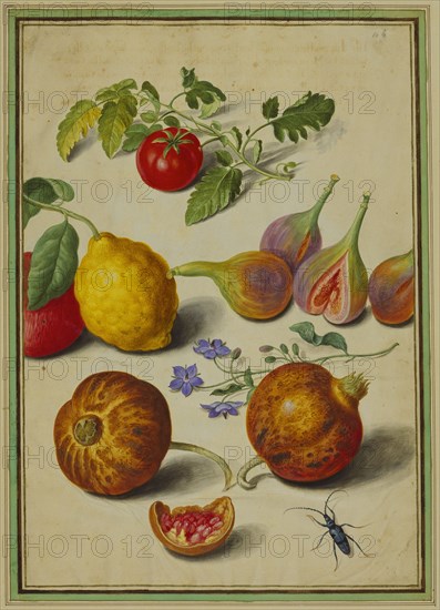 Walther, Tomate & Citron, Mouches & Grenades, avec Bourrache & Scarabée