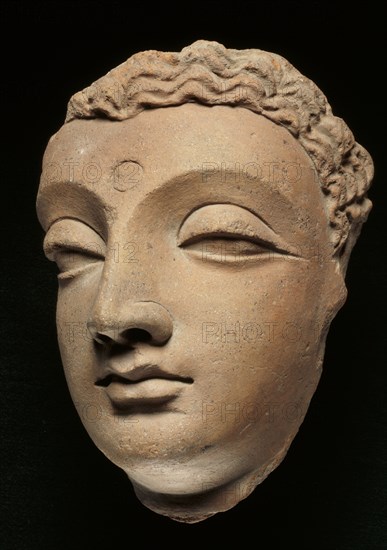 Tête de Bouddha provenant du Gandhara