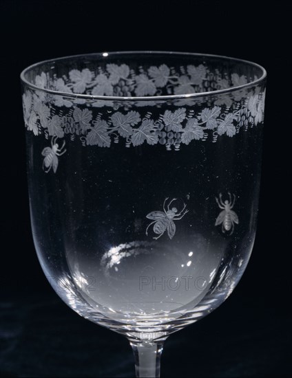 Wine glass; clear glass with engraved vine leaf & bee decoration; - detail; English; c.1850.