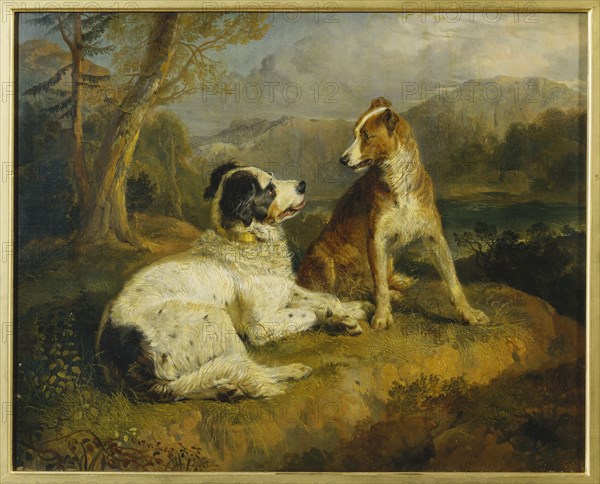 Landseer, Deux chiens