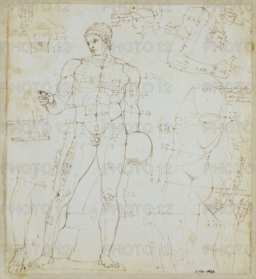 Drawing of the anatomy, with annotations, by John Deare.  Great Britain, late 18th century