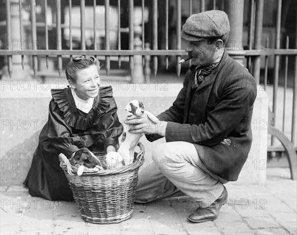 Marché aux chiens dans les rues de Bruxelles vers 1900