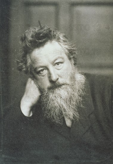 Hollyer, Portrait of William Morris