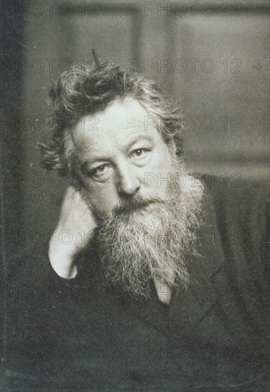 Hollyer, Portrait de William Morris