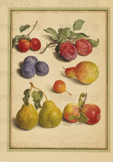 Walther, Prunes, Cerises, Pommes et Poires