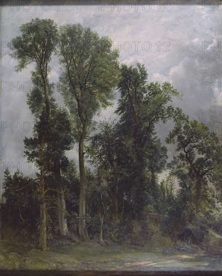 Constable, Arbres à Hampstead : le chemin de l'église