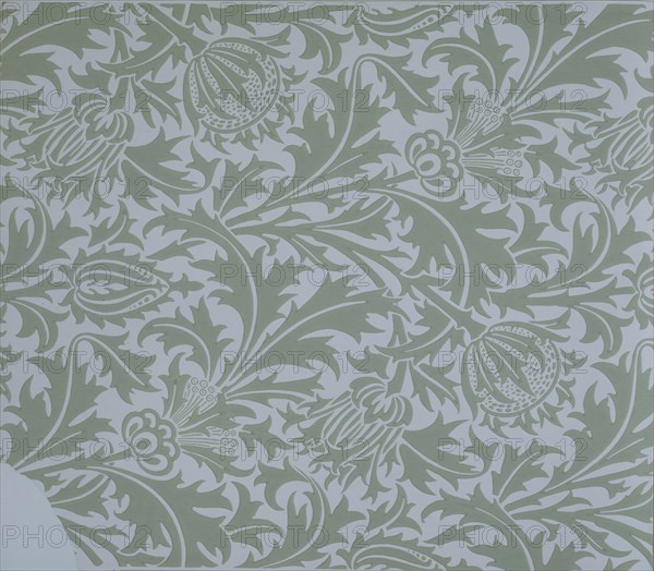 Morris, Thistle design