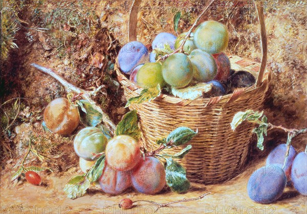 Hunt, Plums