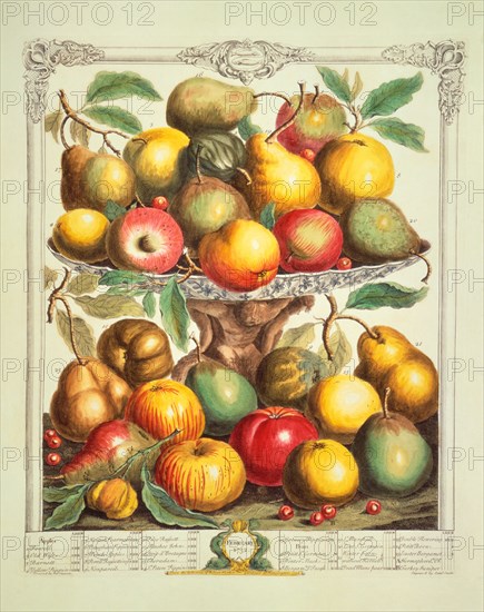 Furber, Les douze mois des Fruits : Février